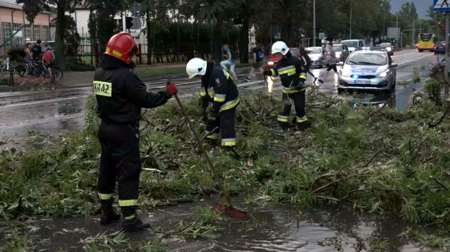Burza Powalila Drzewa W Bialej Podlaskiej